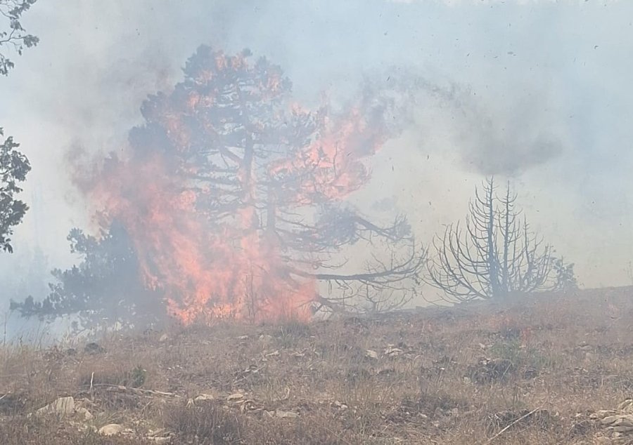 Karaman’da Çıkan Orman Yangınına Havadan Ve Karadan Müdahale Ediliyor