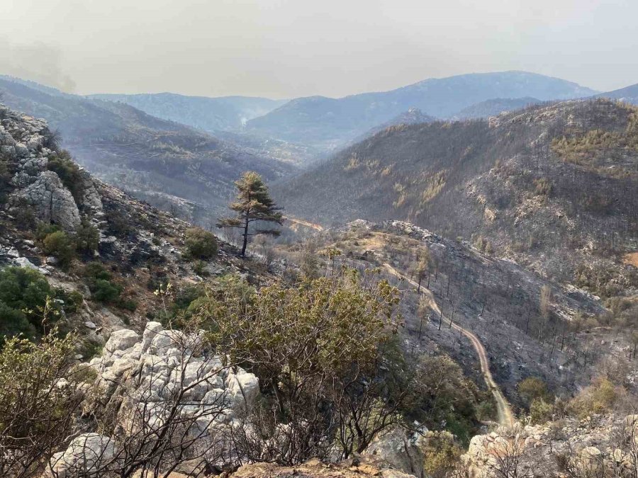 Mersin Valiliği: " Yangınlar Kontrol Altına Alınmış, Soğutma Çalışmaları Devam Etmektedir"