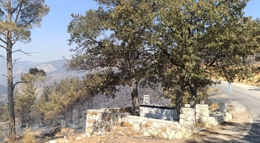 Orman Yangınında Mezarlık Yandı, Alevler Işık Dede’nin Kabrinde Durdu