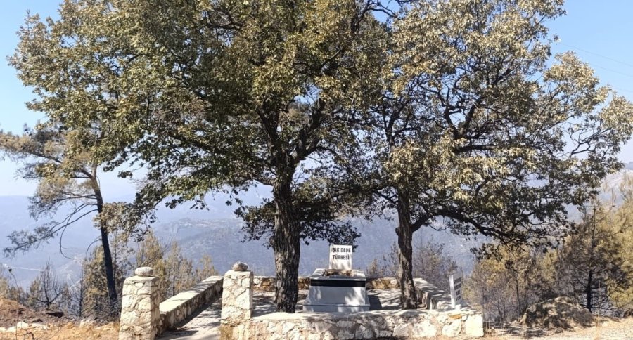 Orman Yangınında Mezarlık Yandı, Alevler Işık Dede’nin Kabrinde Durdu