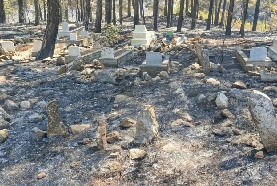 Orman Yangınında Mezarlık Yandı, Alevler Işık Dede’nin Kabrinde Durdu