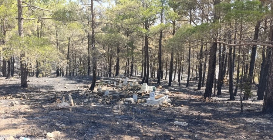 Orman Yangınında Mezarlık Yandı, Alevler Işık Dede’nin Kabrinde Durdu