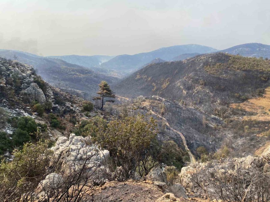 Mersin Silifke’de Yangın Büyük Ölçüde Kontrol Altına Alındı