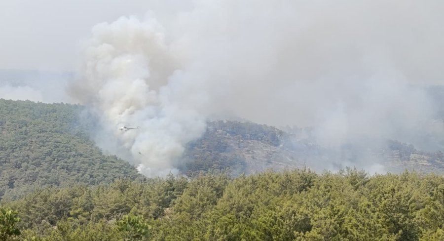 Mersin’de Kaynak Yaparken Orman Yangınına Neden Olan Firma Sahibi İle 4 Kişi Tutuklandı
