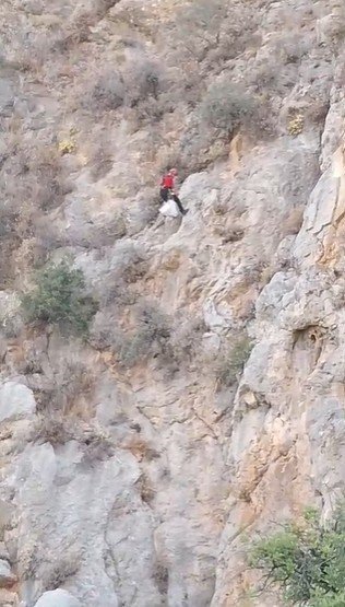 Serik’te Uçurumda 3 Gündür Mahsur Kalan Keçi, Ekipler Tarafından Kurtarıldı
