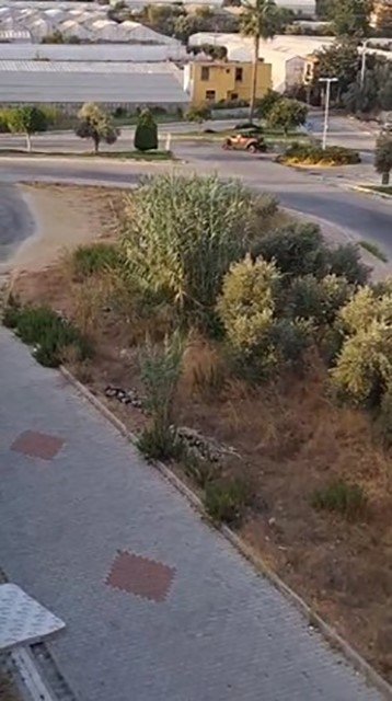 Alanya’da Drift Yapan Sürücülere 166 Bin Tl Ceza