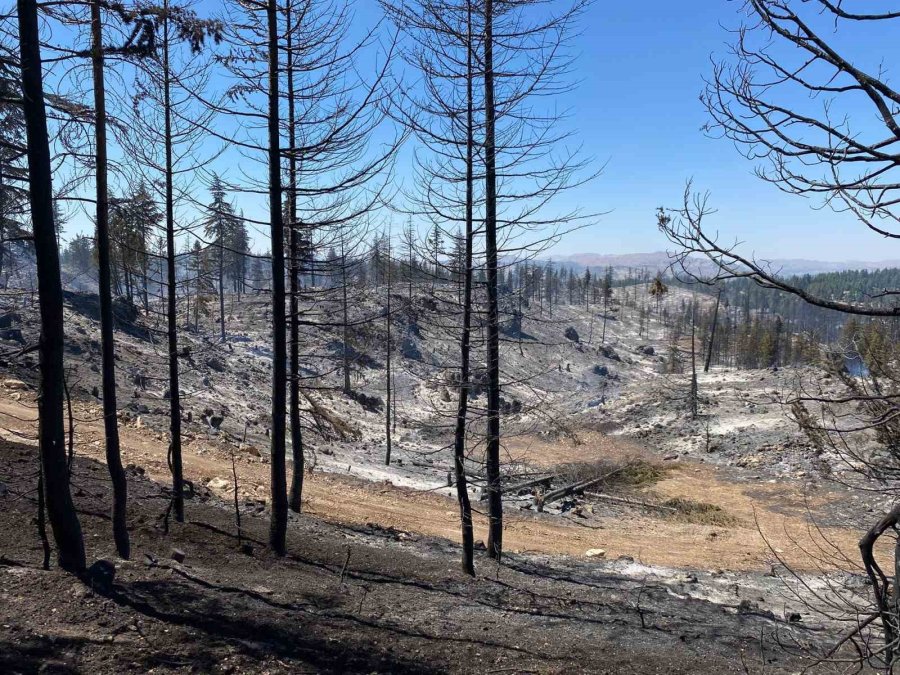 Vali Mehmet Fatih Çiçekli: "yangın Tamamen Kontrol Altına Alındı"