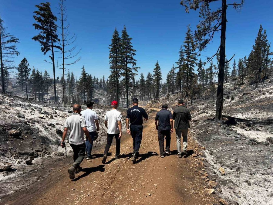Vali Mehmet Fatih Çiçekli: "yangın Tamamen Kontrol Altına Alındı"
