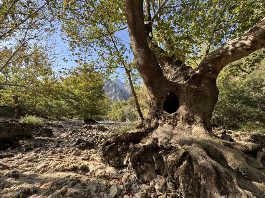 Üzümdere Irmağı Kuraklığa Yenik Düştü, Eski Halinden Eser Kalmadı
