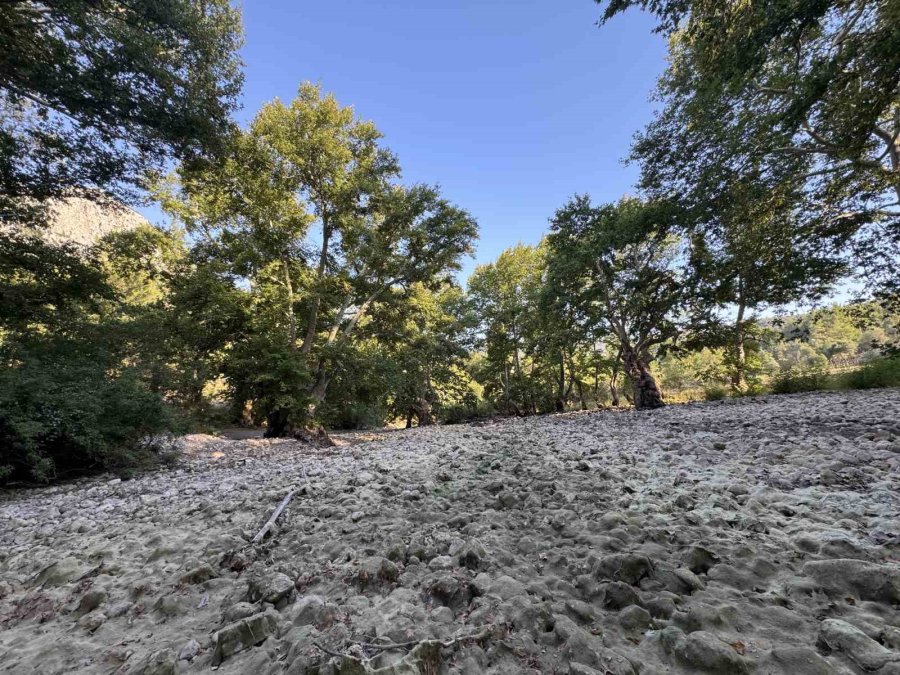 Üzümdere Irmağı Kuraklığa Yenik Düştü, Eski Halinden Eser Kalmadı