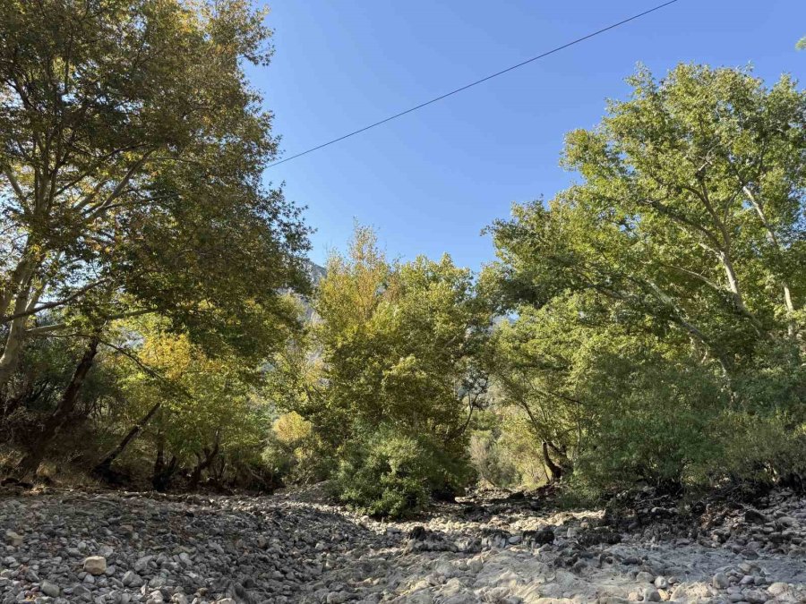 Üzümdere Irmağı Kuraklığa Yenik Düştü, Eski Halinden Eser Kalmadı