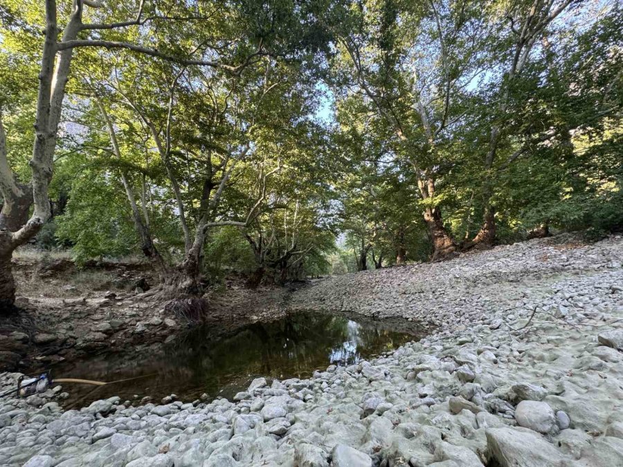 Üzümdere Irmağı Kuraklığa Yenik Düştü, Eski Halinden Eser Kalmadı