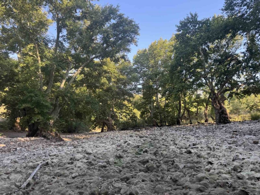 Üzümdere Irmağı Kuraklığa Yenik Düştü, Eski Halinden Eser Kalmadı
