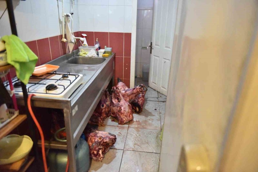 Yumurta Paketinden Hamam Böceği Yumurtaları Çıktı, Yapılan Denetimden Çıkanlar Şoke Etti