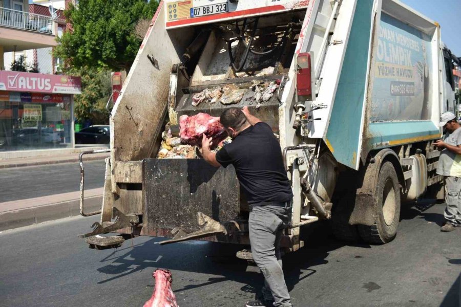Yumurta Paketinden Hamam Böceği Yumurtaları Çıktı, Yapılan Denetimden Çıkanlar Şoke Etti