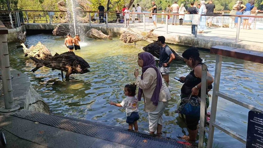 Manavgat Şelalesi’nde Düşen Su Seviyesi Ziyaretçileri Şaşkına Çevirdi