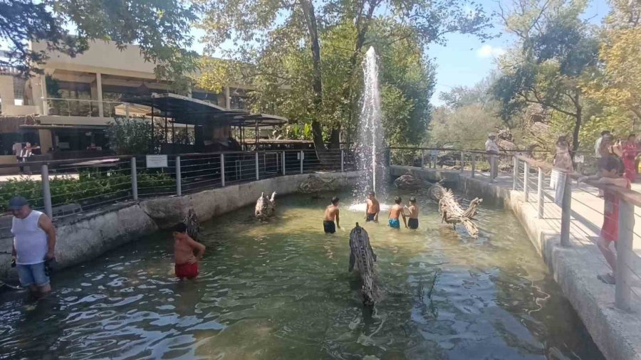 Manavgat Şelalesi’nde Düşen Su Seviyesi Ziyaretçileri Şaşkına Çevirdi