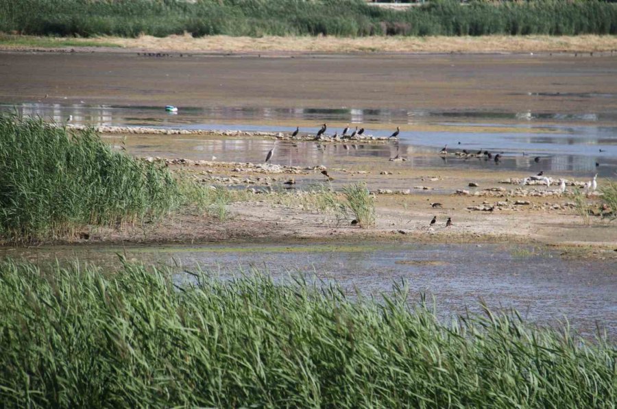 Beyşehir Gölü’nde Sular Çekildi, Yeni Adalar Ortaya Çıktı