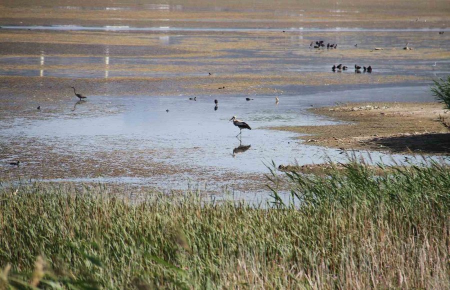 Beyşehir Gölü’nde Sular Çekildi, Yeni Adalar Ortaya Çıktı