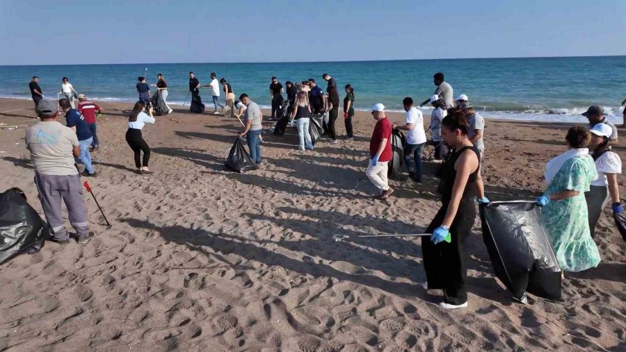 Çardaklar Yıkılıp Halka Açılmıştı, Çöpten Geçilmeyen Sahile Temizlik Operasyonu