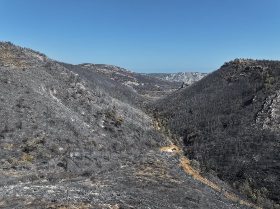 Orman Yangınından Geriye Kalan Acı Manzara: 15 Bin Dönümden Fazla Alan Küle Döndü