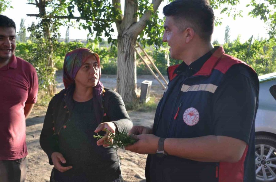 Furkan Mete’den Kadın Üreticiye Destek Ziyareti
