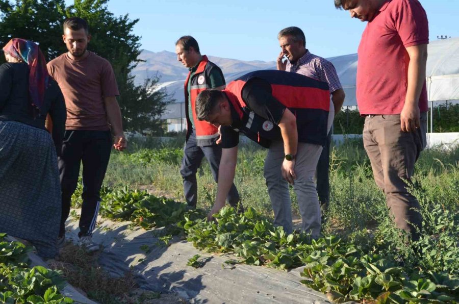 Furkan Mete’den Kadın Üreticiye Destek Ziyareti