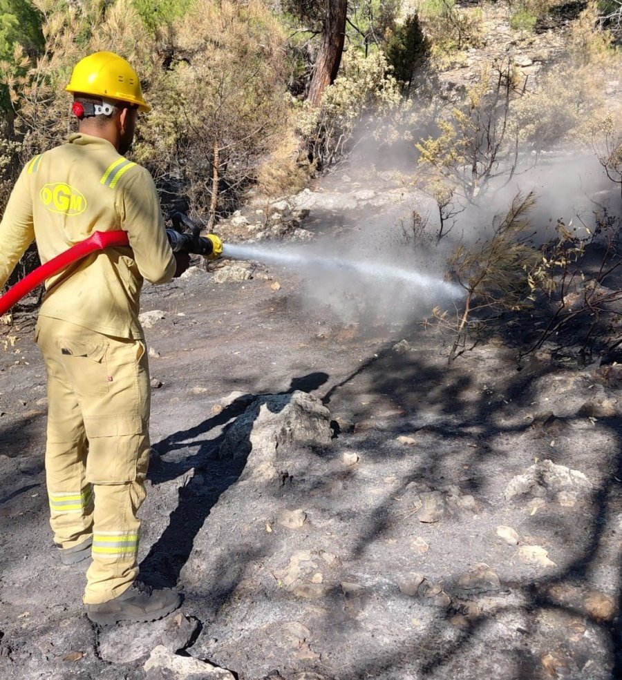 Orman Yangınından Geriye Kalan Acı Manzara: 15 Bin Dönümden Fazla Alan Küle Döndü