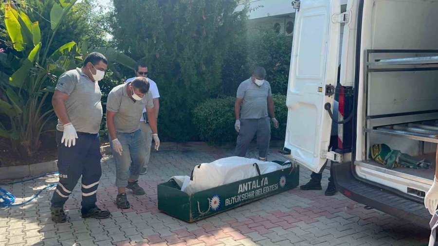 Belçika Vatandaşı Alanya’daki Evinde Ölü Olarak Bulundu