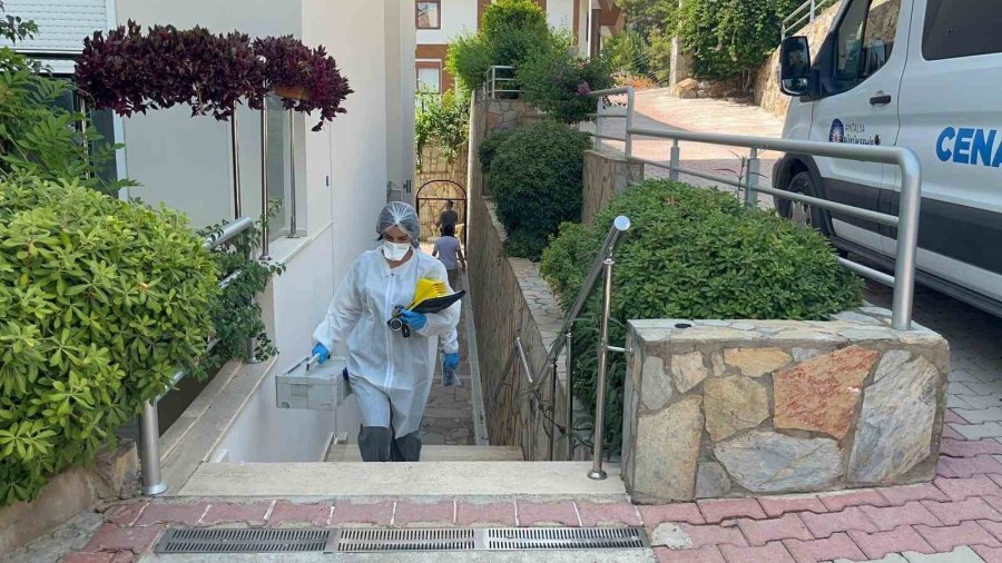 Belçika Vatandaşı Alanya’daki Evinde Ölü Olarak Bulundu