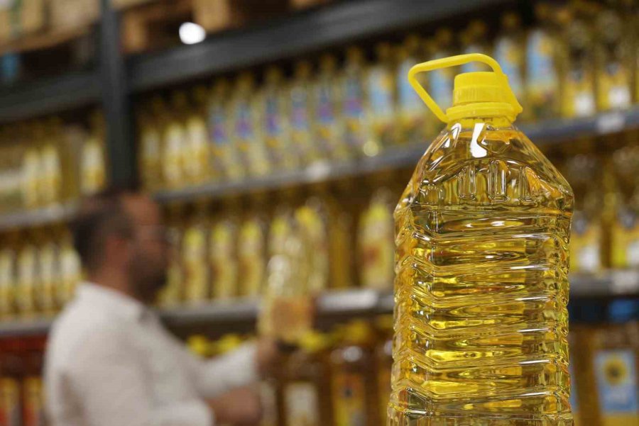 Konya Ovasında Ayçiçeğinde Yağ Kalitesi Üst Seviyede, Yağda Sorun Görünmüyor