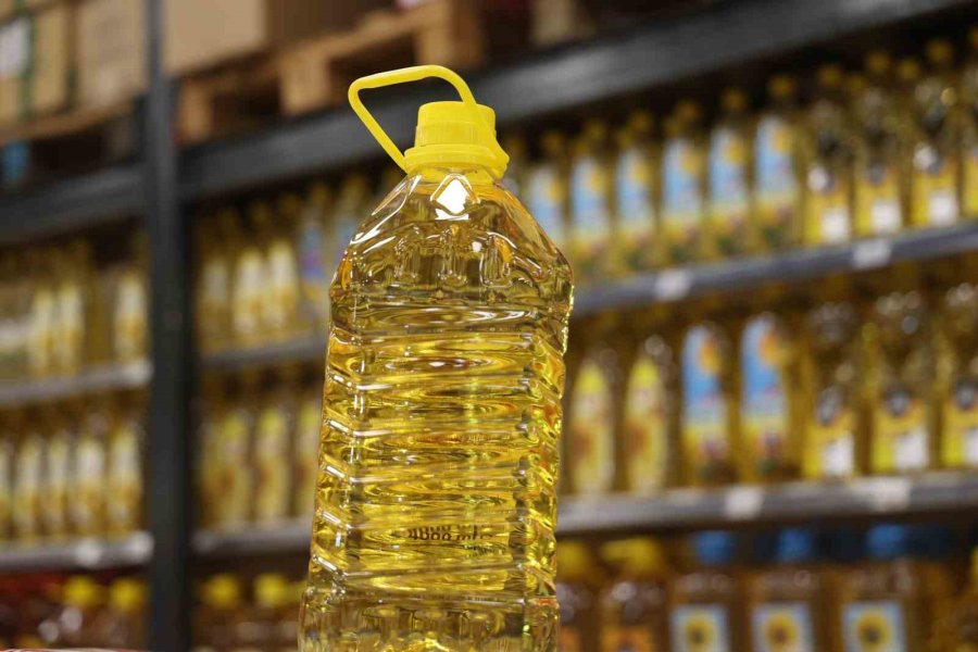 Konya Ovasında Ayçiçeğinde Yağ Kalitesi Üst Seviyede, Yağda Sorun Görünmüyor