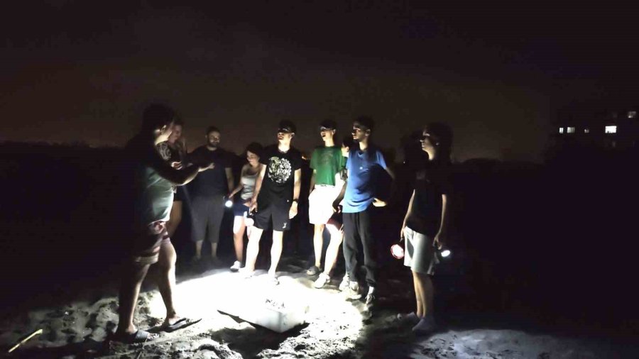 Mersin’de Yönünü Şaşıran Yavru Kaplumbağalar Genç Gönüllüler Tarafından Denize Ulaştırılıyor