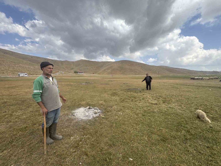 Piknik Ve Kamp İçin Gelip Çöplerini Bıraktılar Çobanlar Bile İsyan Etti
