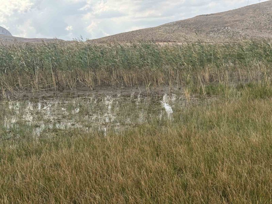 Piknik Ve Kamp İçin Gelip Çöplerini Bıraktılar Çobanlar Bile İsyan Etti