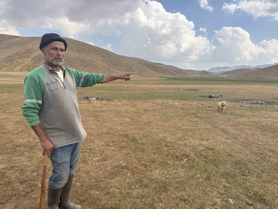 Piknik Ve Kamp İçin Gelip Çöplerini Bıraktılar Çobanlar Bile İsyan Etti