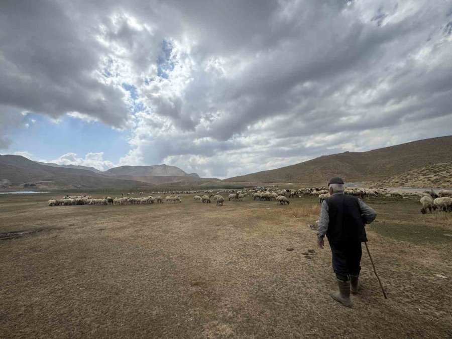 Piknik Ve Kamp İçin Gelip Çöplerini Bıraktılar Çobanlar Bile İsyan Etti