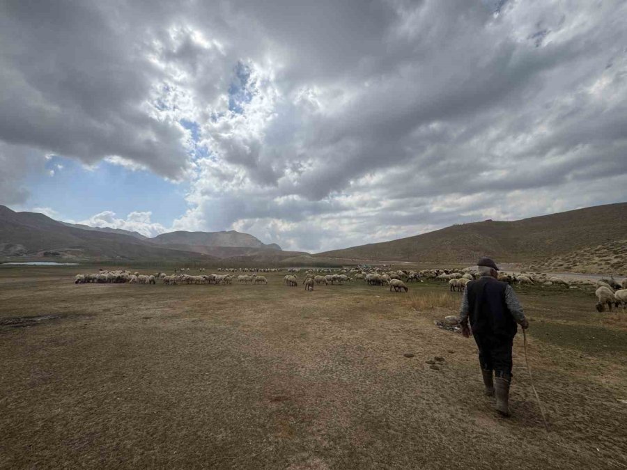 Piknik Ve Kamp İçin Gelip Çöplerini Bıraktılar Çobanlar Bile İsyan Etti