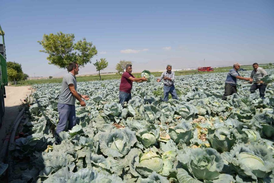 Niğde Tarımı Turizme Açılıyor