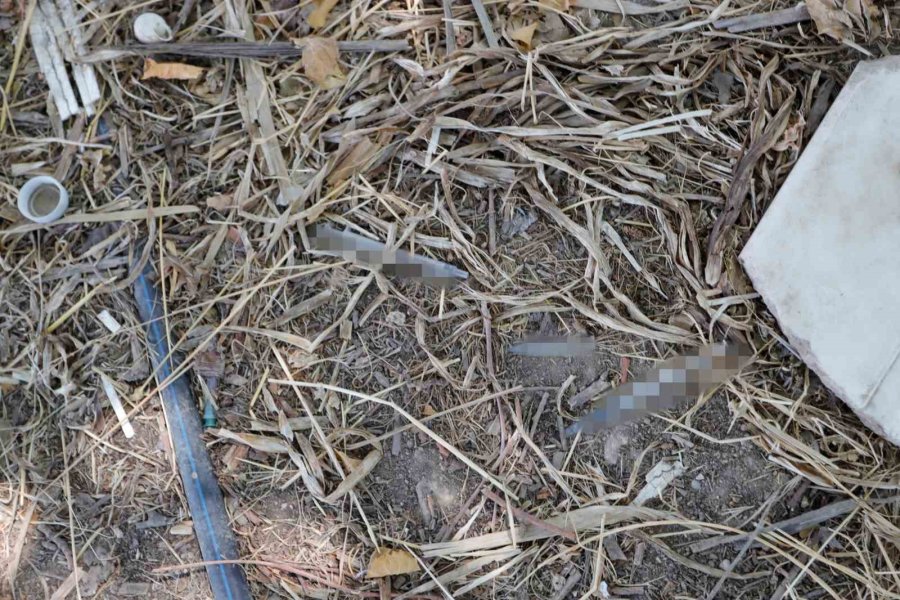 Mezarlıkta Uyuşturucu Satışını Fark Eden Muhtar Gece Görüş Ve Sesli Uyarı Sistemli Kamera Sistemi Kurdu