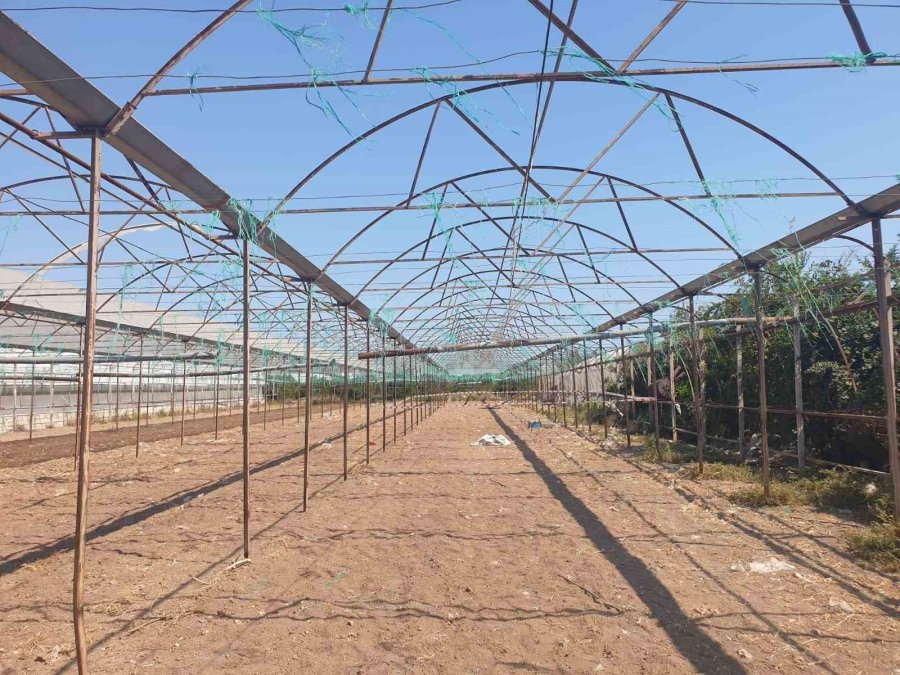 Antalya’da Serada Cinayet: 2 Ölü