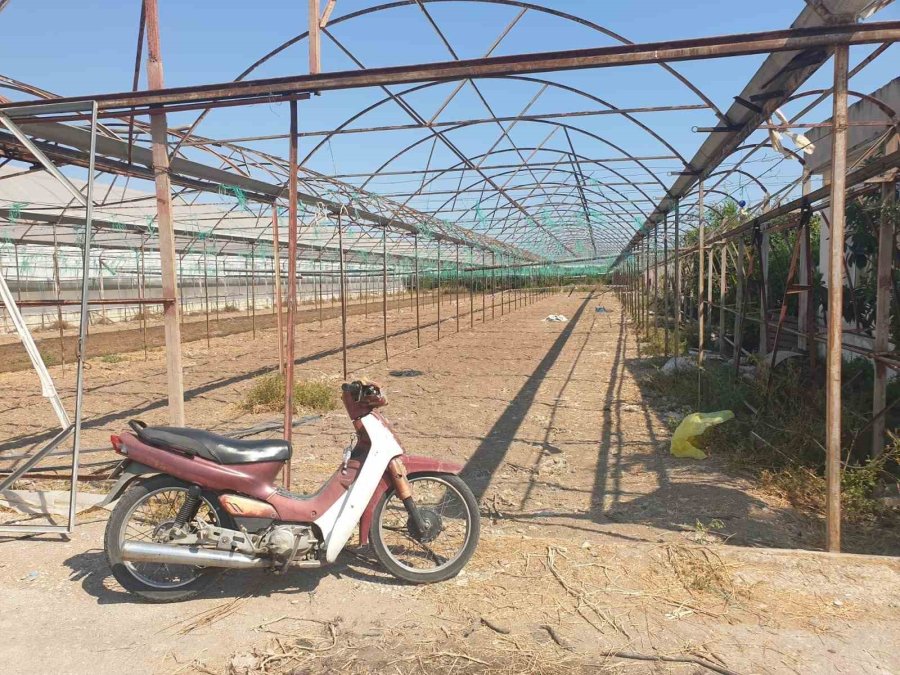 Antalya’da Serada Cinayet: 2 Ölü