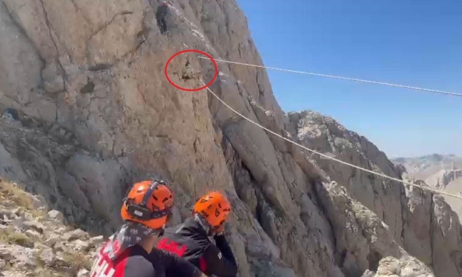 9 Gün Boyunca Mahsur Kalan Keçiler 5 Saatlik Operasyonla Kurtarıldı