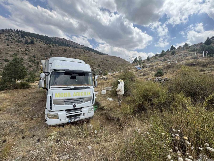 Mobil Tır İle Bal Üretiyor Kovanları İndirmeden Toros Dağları’nı Karış Karış Geziyor