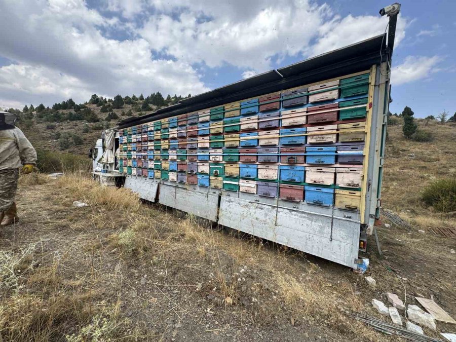 Mobil Tır İle Bal Üretiyor Kovanları İndirmeden Toros Dağları’nı Karış Karış Geziyor