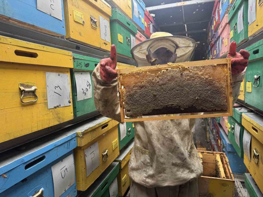 Mobil Tır İle Bal Üretiyor Kovanları İndirmeden Toros Dağları’nı Karış Karış Geziyor