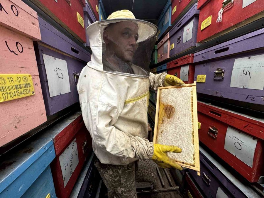 Mobil Tır İle Bal Üretiyor Kovanları İndirmeden Toros Dağları’nı Karış Karış Geziyor