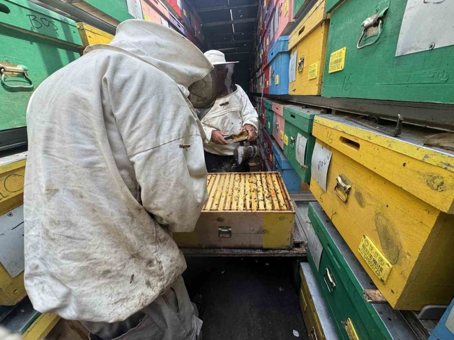 Mobil Tır İle Bal Üretiyor Kovanları İndirmeden Toros Dağları’nı Karış Karış Geziyor