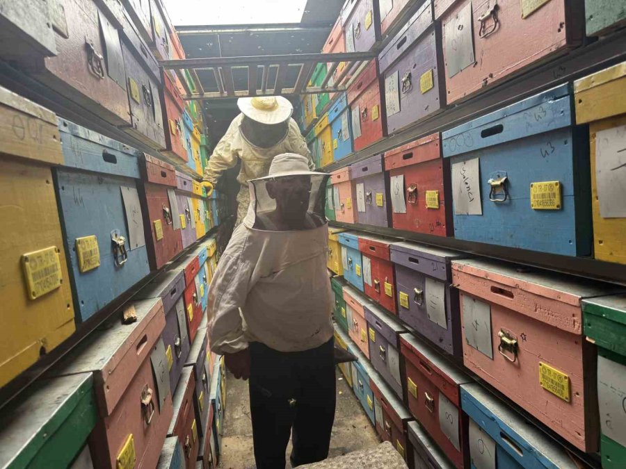 Mobil Tır İle Bal Üretiyor Kovanları İndirmeden Toros Dağları’nı Karış Karış Geziyor