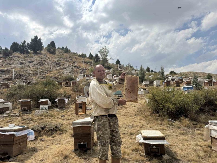 Mobil Tır İle Bal Üretiyor Kovanları İndirmeden Toros Dağları’nı Karış Karış Geziyor